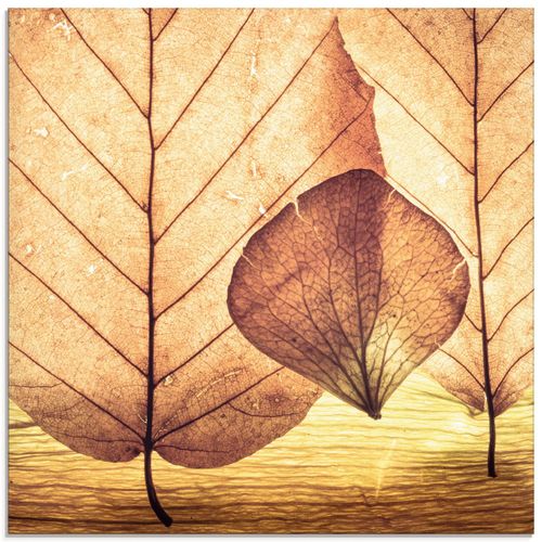 4059745950619 - Glasbild ARTLAND Losgelöst Bilder Gr B H 40 cm x 40 cm Glasbild Blätter quadratisch 1 St braun Bild Glasbild Glasbilder Bilder in verschiedenen Größen
