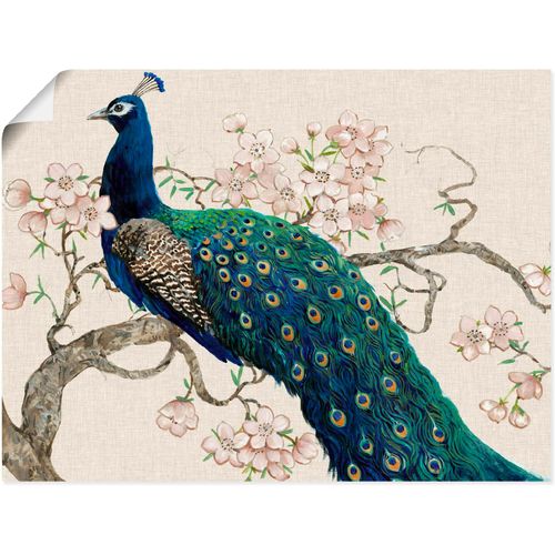 4058661322845 - Wandbild ARTLAND Pfau & Blüten II Bilder Gr B H 120 cm x 90 cm Poster Vögel Querformat 1 St beige (naturfarben) Bild Poster Bilder als Alubild Leinwandbild Wandaufkleber oder in versch Größen