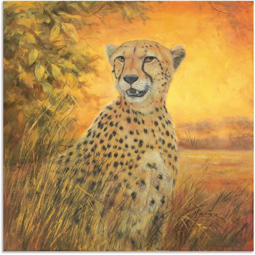 4062144592540 - Wandbild ARTLAND Porträt Gepard Bilder Gr B H 40 cm x 40 cm Alu-Dibond-Druck Geparden Bilder quadratisch 1 St braun Kunstdrucke als Alubild Leinwandbild Wandaufkleber oder Poster in versch Größen