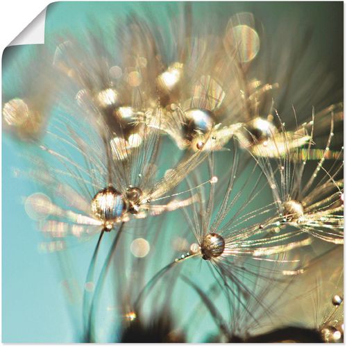 4058661088499 - Wandbild ARTLAND Pusteblume glänzendes Gold Bilder Gr B H 30 cm x 30 cm Poster Blumen 1 St blau Bild Kunstdruck Poster Bilder als Alubild Leinwandbild Wandaufkleber oder in versch Größen 4058661088499 - Wandbild ARTLAND Pusteblume glänzendes Gold Bilder Gr B H 30 cm x 30 cm Poster Blumen 1 St blau Bild Kunstdruck Poster Bilder als Alubild Leinwandbild Wandaufkleber oder in versch Größen