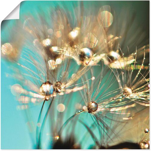 4058661088512 - Wandbild ARTLAND Pusteblume glänzendes Gold Bilder Gr B H 50 cm x 50 cm Poster Blumen 1 St blau Bild Kunstdruck Poster Bilder als Alubild Leinwandbild Wandaufkleber oder in versch Größen 4058661088512 - Wandbild ARTLAND Pusteblume glänzendes Gold Bilder Gr B H 50 cm x 50 cm Poster Blumen 1 St blau Bild Kunstdruck Poster Bilder als Alubild Leinwandbild Wandaufkleber oder in versch Größen