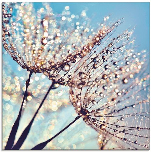 4058661089717 - Glasbild ARTLAND Pusteblume Tröpfchenfänger Bilder Gr B H 40 cm x 40 cm Glasbild Blumen quadratisch 1 St blau Bild Glasbild Glasbilder Bilder in verschiedenen Größen 4058661089717 - Glasbild ARTLAND Pusteblume Tröpfchenfänger Bilder Gr B H 40 cm x 40 cm Glasbild Blumen quadratisch 1 St blau Bild Glasbild Glasbilder Bilder in verschiedenen Größen