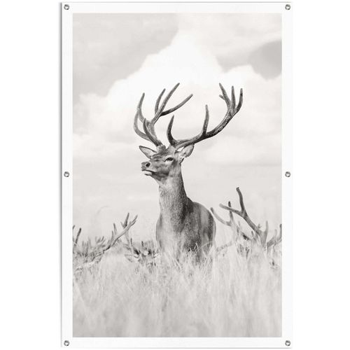 8714597620412 - Poster REINDERS Stolzer Hirsch Bilder Gr B H T 80 cm x 120 cm x 01 cm schwarz (schwarz weiß) Poster leichtes und wasserfestes Gartenposter für den Außeneinsatz