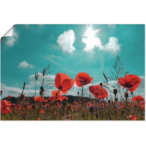 4059745683692 - Wandbild ARTLAND Mohnblumenfeld im Frühling Bilder Gr B H 30 cm x 20 cm Poster Blumen 1 St rot Bild Kunstdruck Poster Bilder als Alubild Leinwandbild Wandaufkleber oder in versch Größen 4059745683692 - Wandbild ARTLAND Mohnblumenfeld im Frühling Bilder Gr B H 30 cm x 20 cm Poster Blumen 1 St rot Bild Kunstdruck Poster Bilder als Alubild Leinwandbild Wandaufkleber oder in versch Größen