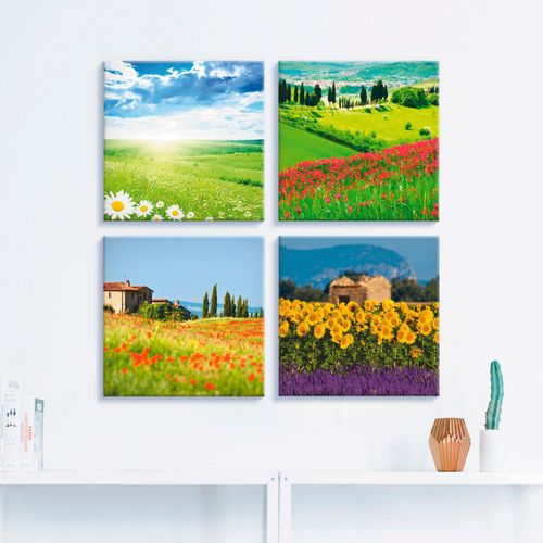 4055327000550 - Leinwandbild ARTLAND Gänseblume Zypressen Mohn Lavendel Bilder Gr B H 40 cm x 40 cm Leinwandbild Felder quadratisch 4 St grün Bild Leinwandbild Leinwandbilder Bilder 4er Set verschiedene Größen 4055327000550 - Leinwandbild ARTLAND Gänseblume Zypressen Mohn Lavendel Bilder Gr B H 40 cm x 40 cm Leinwandbild Felder quadratisch 4 St grün Bild Leinwandbild Leinwandbilder Bilder 4er Set verschiedene Größen