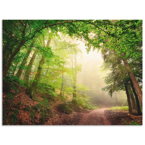 4057738379966 - Wandbild ARTLAND Natürliche Torbögen durch Bäume Bilder Gr B H 60 cm x 45 cm Alu-Dibond-Druck Wald Querformat 1 St grün Bild Poster Bilder als Alubild Leinwandbild Wandaufkleber oder in versch Größen