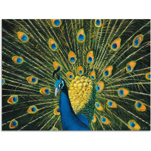 4057738412717 - Wandbild ARTLAND Pfau Bilder Gr B H 60 cm x 45 cm Alu-Dibond-Druck Vögel 1 St grün Bild Poster Bilder als Alubild Leinwandbild Wandaufkleber oder in versch Größen 4057738412717 - Wandbild ARTLAND Pfau Bilder Gr B H 60 cm x 45 cm Alu-Dibond-Druck Vögel 1 St grün Bild Poster Bilder als Alubild Leinwandbild Wandaufkleber oder in versch Größen