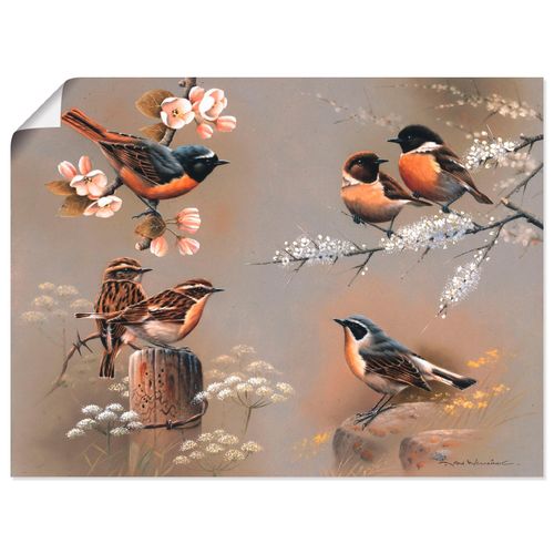 4055327604130 - Wandbild ARTLAND Vogel Komposition Bilder Gr B H 40 cm x 30 cm Poster Vögel Querformat 1 St braun Bild Poster Bilder als Leinwandbild Wandaufkleber oder in versch Größen