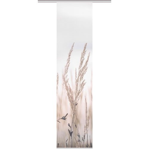 4056751413282 - Schiebegardine VISION S SCHIEBEVORHANG DIGITALDRUCK BAMBUS-OPTIK RELVA beige (natur) B60cm H260cm Polyester Gardinen DIGITALDRUCK - INDIVIDUELL KÜRZBAR