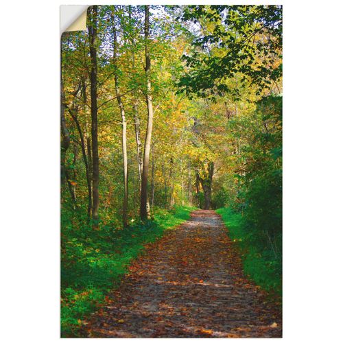 4058661077585 - Wandbild ARTLAND Weg im Herbst Wald Bilder Gr B H 60 cm x 90 cm Wandaufkleber - Vinyl Wald Hochformat 1 St beige (naturfarben) Bild Poster Bilder als Alubild Leinwandbild Wandaufkleber oder in versch Größen