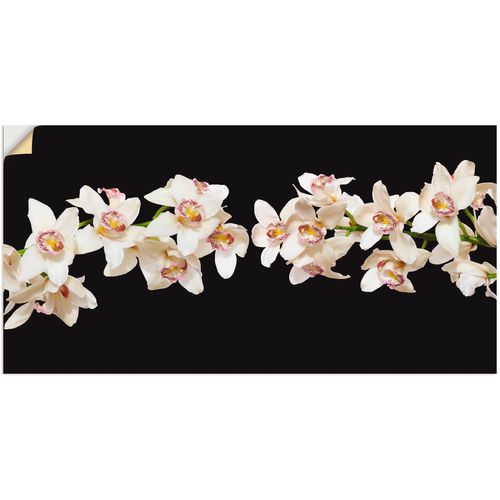 4059745914949 - Wandbild ARTLAND Weiße Orchideen Bilder Gr B H 100 cm x 50 cm Wandaufkleber - Vinyl Blumen 1 St weiß Bild Poster Bilder als Alubild Leinwandbild Wandaufkleber oder in versch Größen