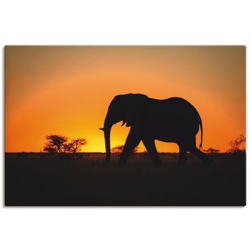 4059745638388 - Wandbild ARTLAND Afrikanischer Elefant im Sonnenuntergang Bilder Gr B H 30 cm x 20 cm Leinwandbild Wildtiere Querformat 1 St orange Bild Poster Bilder als Alubild Leinwandbild Wandaufkleber oder in versch Größen