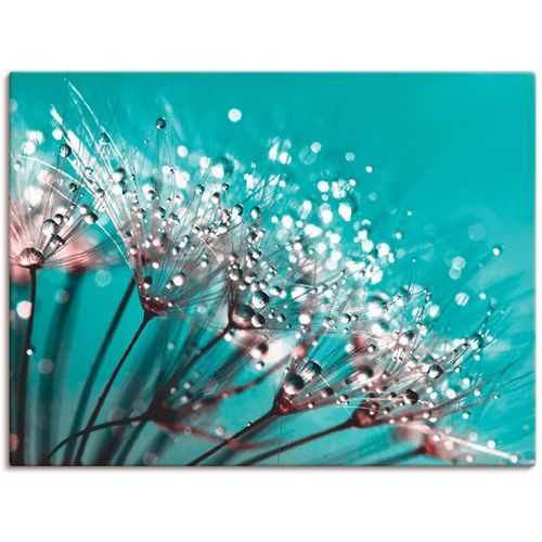 4055327988650 - Wandbild ARTLAND Glitzernde Pusteblume I Bilder Gr B H 40 cm x 30 cm Leinwandbild Blumen 1 St blau Bild Kunstdruck Kunstdrucke Bilder als Leinwandbild Wandaufkleber oder Poster in versch Größen