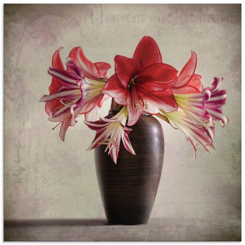 4062144277836 - Glasbild ARTLAND Amaryllis Vintage II Bilder Gr B H 30 cm x 30 cm Glasbild Blumen quadratisch 1 St rot Bild Glasbild Glasbilder Bilder in verschiedenen Größen