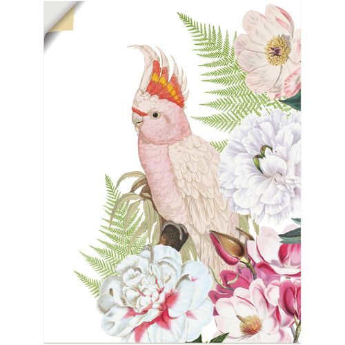 4062144648544 - Wandbild ARTLAND Vintage Papagei II Bilder Gr B H 90 cm x 120 cm Wandaufkleber - Vinyl Vogelbilder Hochformat 1 St weiß Kunstdrucke als Alubild Leinwandbild Wandaufkleber oder Poster in versch Größen 4062144648544 - Wandbild ARTLAND Vintage Papagei II Bilder Gr B H 90 cm x 120 cm Wandaufkleber - Vinyl Vogelbilder Hochformat 1 St weiß Kunstdrucke als Alubild Leinwandbild Wandaufkleber oder Poster in versch Größen