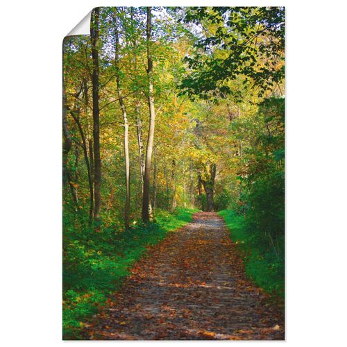 4058661077639 - Wandbild ARTLAND Weg im Herbst Wald Bilder Gr B H 40 cm x 60 cm Poster Wald Hochformat 1 St beige (naturfarben) Bild Poster Bilder als Alubild Leinwandbild Wandaufkleber oder in versch Größen 4058661077639 - Wandbild ARTLAND Weg im Herbst Wald Bilder Gr B H 40 cm x 60 cm Poster Wald Hochformat 1 St beige (naturfarben) Bild Poster Bilder als Alubild Leinwandbild Wandaufkleber oder in versch Größen