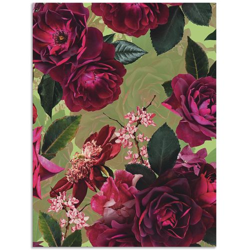 4062144648919 - Wandbild ARTLAND Dunkle Rosen auf Grün Bilder Gr B H 30 cm x 40 cm Alu-Dibond-Druck Blumenbilder Hochformat 1 St pink Kunstdrucke als Alubild Leinwandbild Wandaufkleber oder Poster in versch Größen 4062144648919 - Wandbild ARTLAND Dunkle Rosen auf Grün Bilder Gr B H 30 cm x 40 cm Alu-Dibond-Druck Blumenbilder Hochformat 1 St pink Kunstdrucke als Alubild Leinwandbild Wandaufkleber oder Poster in versch Größen