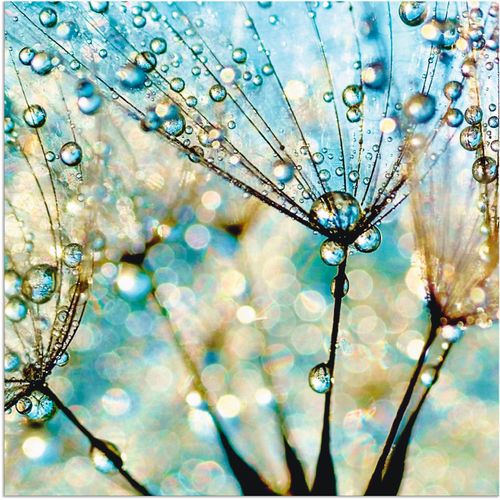 4059745193252 - Wandbild ARTLAND Pusteblume Blaue Diamanten Bilder Gr B H 40 cm x 40 cm Alu-Dibond-Druck Blumen 1 St blau Bild Kunstdruck Kunstdrucke Bilder als Alubild Leinwandbild Wandaufkleber oder Poster in versch Größen