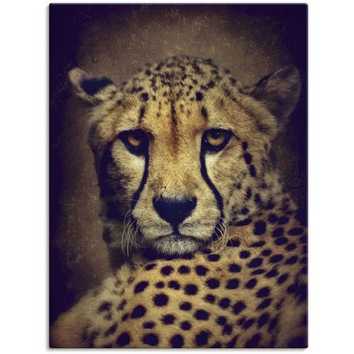 4055327303019 - Wandbild ARTLAND Gepard Bilder Gr B H 30 cm x 40 cm Leinwandbild Wildtiere 1 St braun Kunstdrucke Bilder als Leinwandbild Wandaufkleber oder Poster in versch Größen