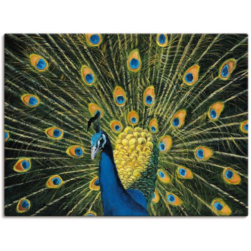 4027292699947 - Wandbild ARTLAND Pfau Bilder Gr B H 120 cm x 90 cm Leinwandbild Vögel 1 St grün Bild Poster Bilder als Alubild Leinwandbild Wandaufkleber oder in versch Größen 4027292699947 - Wandbild ARTLAND Pfau Bilder Gr B H 120 cm x 90 cm Leinwandbild Vögel 1 St grün Bild Poster Bilder als Alubild Leinwandbild Wandaufkleber oder in versch Größen