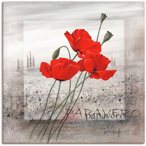 4055327829991 - Wandbild ARTLAND Mohnblumen Bilder Gr B H 50 cm x 50 cm Leinwandbild Blumen 1 St rot Bild Kunstdruck Poster Bilder als Leinwandbild Wandaufkleber oder in versch Größen 4055327829991 - Wandbild ARTLAND Mohnblumen Bilder Gr B H 50 cm x 50 cm Leinwandbild Blumen 1 St rot Bild Kunstdruck Poster Bilder als Leinwandbild Wandaufkleber oder in versch Größen