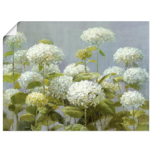4055327749251 - Wandbild ARTLAND Weißer Hortensien Garten Bilder Gr B H 80 cm x 60 cm Poster Blumen Querformat 1 St weiß Bild Leinwandbild Kunstdrucke Bilder als Leinwandbild Wandaufkleber oder Poster in versch Größen 4055327749251 - Wandbild ARTLAND Weißer Hortensien Garten Bilder Gr B H 80 cm x 60 cm Poster Blumen Querformat 1 St weiß Bild Leinwandbild Kunstdrucke Bilder als Leinwandbild Wandaufkleber oder Poster in versch Größen