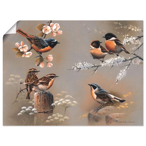 4055327604147 - Wandbild ARTLAND Vogel Komposition Bilder Gr B H 60 cm x 45 cm Poster Vögel Querformat 1 St braun Bild Poster Bilder als Leinwandbild Wandaufkleber oder in versch Größen