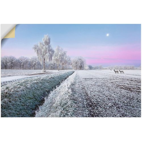 4062144828526 - Wandbild ARTLAND Ein kurzweiliges Wintermärchen Bilder Gr B H 60 cm x 40 cm Wandaufkleber - Vinyl Vier Jahreszeiten Bilder Querformat 1 St beige (naturfarben) Kunstdrucke als Alubild Leinwandbild Wandaufkleber oder Poster in versch Größen 4062144828526 - Wandbild ARTLAND Ein kurzweiliges Wintermärchen Bilder Gr B H 60 cm x 40 cm Wandaufkleber - Vinyl Vier Jahreszeiten Bilder Querformat 1 St beige (naturfarben) Kunstdrucke als Alubild Leinwandbild Wandaufkleber oder Poster in versch Größen