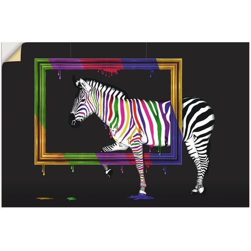 4059745133166 - Wandbild ARTLAND Das Regenbogen Zebra Bilder Gr B H 60 cm x 40 cm Wandaufkleber - Vinyl Animal Fantasy 1 St bunt Bild Kunstdruck Kunstdrucke Bilder als Alubild Leinwandbild Wandaufkleber oder Poster in versch Größen