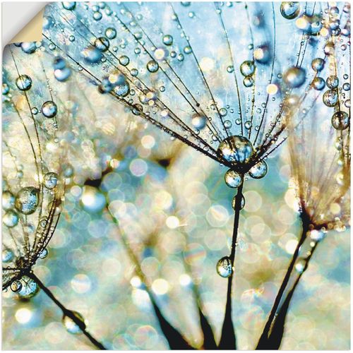4059745193511 - Wandbild ARTLAND Pusteblume Blaue Diamanten Bilder Gr B H 30 cm x 30 cm Wandaufkleber - Vinyl Blumen 1 St blau Bild Kunstdruck Kunstdrucke Bilder als Alubild Leinwandbild Wandaufkleber oder Poster in versch Größen 4059745193511 - Wandbild ARTLAND Pusteblume Blaue Diamanten Bilder Gr B H 30 cm x 30 cm Wandaufkleber - Vinyl Blumen 1 St blau Bild Kunstdruck Kunstdrucke Bilder als Alubild Leinwandbild Wandaufkleber oder Poster in versch Größen