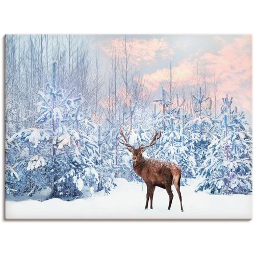 4062144598962 - Wandbild ARTLAND Hirsch im Winterwald Bilder Gr B H 80 cm x 60 cm Leinwandbild Hirschbilder Querformat 1 St blau Kunstdrucke als Alubild Leinwandbild Wandaufkleber oder Poster in versch Größen