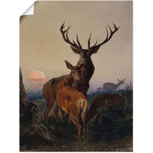 4055327560184 - Wandbild ARTLAND Hirsch und ein Reh bei Sonnenuntergang Bilder Gr B H 60 cm x 80 cm Poster Wildtiere 1 St braun Bild Poster Bilder als Leinwandbild Wandaufkleber oder in versch Größen 4055327560184 - Wandbild ARTLAND Hirsch und ein Reh bei Sonnenuntergang Bilder Gr B H 60 cm x 80 cm Poster Wildtiere 1 St braun Bild Poster Bilder als Leinwandbild Wandaufkleber oder in versch Größen