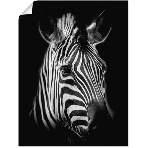 4062144626757 - Wandbild ARTLAND Zebra Bilder Gr B H 30 cm x 40 cm Poster Zebra Bilder Hochformat 1 St schwarz Kunstdrucke als Alubild Leinwandbild Wandaufkleber oder Poster in versch Größen 4062144626757 - Wandbild ARTLAND Zebra Bilder Gr B H 30 cm x 40 cm Poster Zebra Bilder Hochformat 1 St schwarz Kunstdrucke als Alubild Leinwandbild Wandaufkleber oder Poster in versch Größen