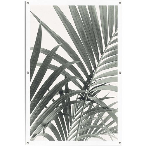 8714597620351 - Poster REINDERS Palmenblätter Bilder Gr B H T 80 cm x 120 cm x 01 cm grün Poster leichtes und wasserfestes Gartenposter für den Außeneinsatz