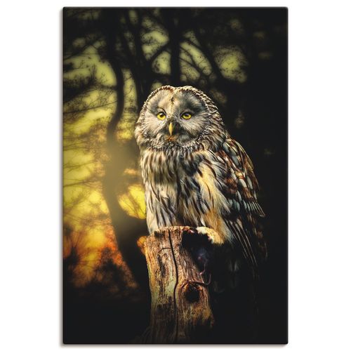 4062144018798 - Wandbild ARTLAND Eule Bilder Gr B H 40 cm x 60 cm Leinwandbild Vögel Hochformat 1 St gelb Bild Poster Bilder als Alubild Leinwandbild Wandaufkleber oder in versch Größen 4062144018798 - Wandbild ARTLAND Eule Bilder Gr B H 40 cm x 60 cm Leinwandbild Vögel Hochformat 1 St gelb Bild Poster Bilder als Alubild Leinwandbild Wandaufkleber oder in versch Größen