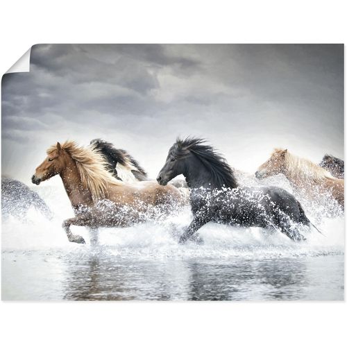 4062144825952 - Wandbild ARTLAND Pferderennen V Bilder Gr B H 120 cm x 90 cm Poster Pferdebilder Querformat 1 St beige (naturfarben) Kunstdrucke als Alubild Leinwandbild Wandaufkleber oder Poster in versch Größen 4062144825952 - Wandbild ARTLAND Pferderennen V Bilder Gr B H 120 cm x 90 cm Poster Pferdebilder Querformat 1 St beige (naturfarben) Kunstdrucke als Alubild Leinwandbild Wandaufkleber oder Poster in versch Größen