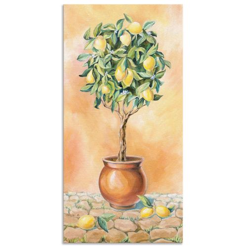 4057738414254 - Wandbild ARTLAND Zitronenbaum I Bilder Gr B H 30 cm x 60 cm Alu-Dibond-Druck Pflanzen 1 St beige (naturfarben) Bild Metallbild Metallbilder Bilder als Alubild Leinwandbild Wandaufkleber oder Poster in versch Größen