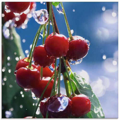 4059745143929 - Glasbild ARTLAND Rote Kirschen im Sommerregen Bilder Gr B H 30 cm x 30 cm Glasbild Lebensmittel quadratisch 1 St blau Bild Glasbild Glasbilder Bilder in verschiedenen Größen 4059745143929 - Glasbild ARTLAND Rote Kirschen im Sommerregen Bilder Gr B H 30 cm x 30 cm Glasbild Lebensmittel quadratisch 1 St blau Bild Glasbild Glasbilder Bilder in verschiedenen Größen