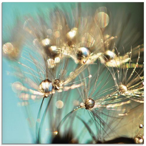 4058661088314 - Glasbild ARTLAND Pusteblume glänzendes Gold Bilder Gr B H 30 cm x 30 cm Glasbild Blumen quadratisch 1 St blau Bild Glasbild Glasbilder Bilder in verschiedenen Größen