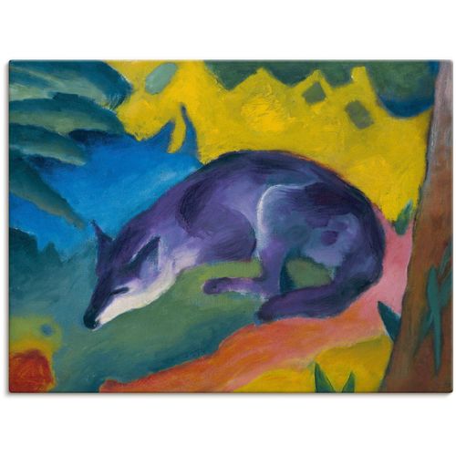 4058661194718 - Wandbild ARTLAND Blauschwarzer Fuchs 1911 Bilder Gr B H 40 cm x 30 cm Leinwandbild Wildtiere 1 St bunt Bild Leinwandbild Kunstdrucke Bilder als Alubild Leinwandbild Wandaufkleber oder Poster in versch Größen