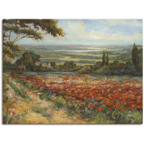 4055327150095 - Wandbild ARTLAND Weg am Mohnfeld Bilder Gr B H 120 cm x 90 cm Leinwandbild Wiesen & Bäume 1 St grün Bild Poster Bilder als Alubild Leinwandbild Wandaufkleber oder in versch Größen