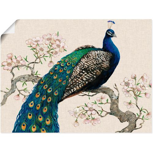 4058661322142 - Wandbild ARTLAND Pfau & Blüten I Bilder Gr B H 40 cm x 30 cm Poster Vögel Querformat 1 St beige (naturfarben) Bild Poster Bilder als Alubild Leinwandbild Wandaufkleber oder in versch Größen 4058661322142 - Wandbild ARTLAND Pfau & Blüten I Bilder Gr B H 40 cm x 30 cm Poster Vögel Querformat 1 St beige (naturfarben) Bild Poster Bilder als Alubild Leinwandbild Wandaufkleber oder in versch Größen