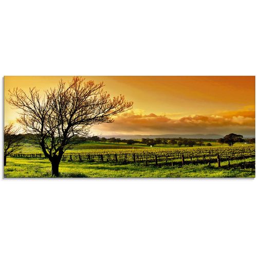 4059745105941 - Glasbild ARTLAND Landschaft mit Weinbergen Bilder Gr B H 125 cm x 50 cm Glasbild Felder 1 St orange Glasbilder in verschiedenen Größen 4059745105941 - Glasbild ARTLAND Landschaft mit Weinbergen Bilder Gr B H 125 cm x 50 cm Glasbild Felder 1 St orange Glasbilder in verschiedenen Größen
