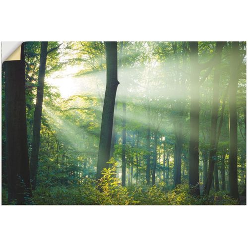 4062144638859 - Wandbild ARTLAND Licht im Wald Bilder Gr B H 120 cm x 80 cm Wandaufkleber - Vinyl Waldbilder Querformat 1 St grün Kunstdrucke als Alubild Leinwandbild Wandaufkleber oder Poster in versch Größen