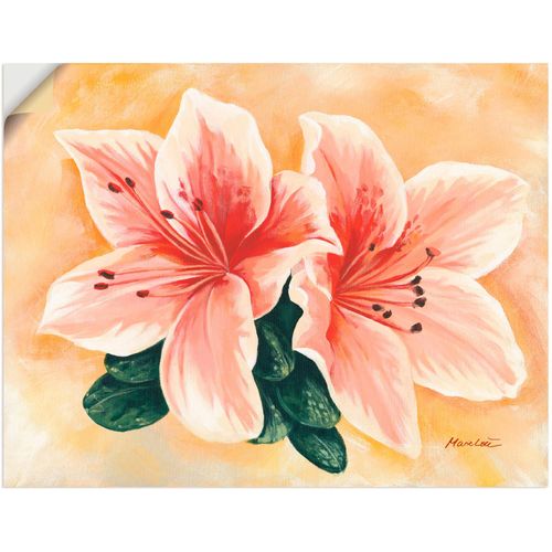 4057738223276 - Wandbild ARTLAND lachsfarbene Lilien Bilder Gr B H 60 cm x 45 cm Wandaufkleber - Vinyl Blumen 1 St beige (naturfarben) Bild Poster Bilder als Alubild Leinwandbild Wandaufkleber oder in versch Größen