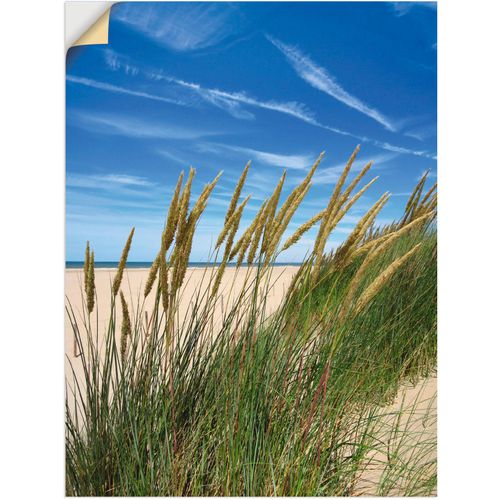 4059745487108 - Wandbild ARTLAND Blühendes Strandgras Bilder Gr B H 30 cm x 40 cm Wandaufkleber - Vinyl Strand 1 St blau Bild Kunstdruck Kunstdrucke Bilder als Alubild Leinwandbild Wandaufkleber oder Poster in versch Größen