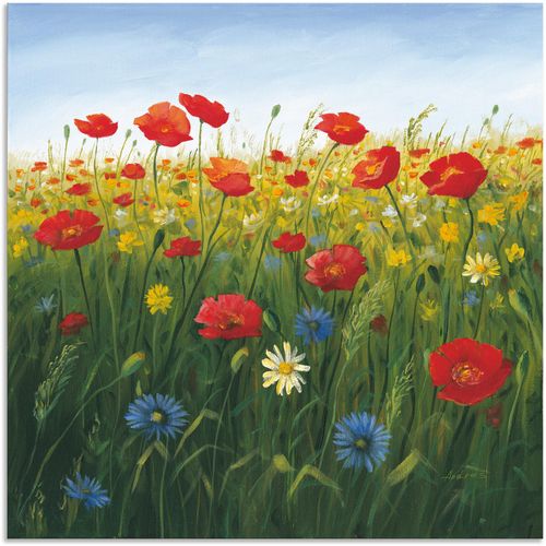 4057738386520 - Wandbild ARTLAND Mohnblumen Landschaft I Bilder Gr B H 40 cm x 40 cm Alu-Dibond-Druck Blumenwiese quadratisch 1 St grün Kunstdrucke als Alubild Leinwandbild Wandaufkleber oder Poster in versch Größen