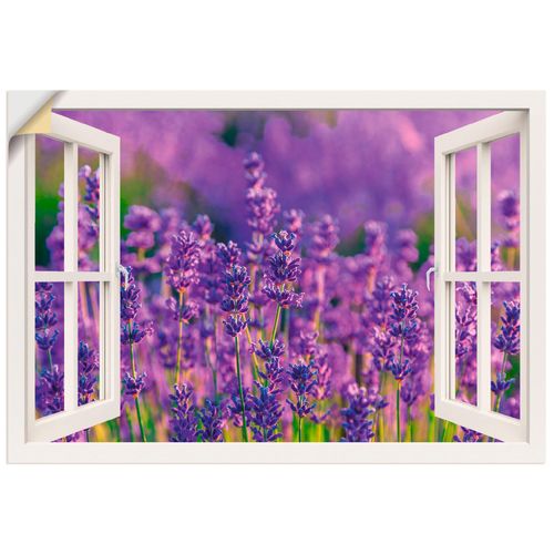 4057738351481 - Wandbild ARTLAND Fensterblick Lavendelfeld in Tihany Bilder Gr B H 70 cm x 50 cm Wandaufkleber - Vinyl Blumenwiese Querformat 1 St weiß Bild Leinwandbild Kunstdrucke Bilder als Alubild Leinwandbild Wandaufkleber oder Poster in versch Größen