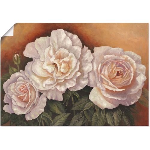 4055327299763 - Wandbild ARTLAND Wildrosen Bilder Gr B H 100 cm x 70 cm Poster Blumen 1 St weiß Bild Poster Bilder als Alubild Leinwandbild Wandaufkleber oder in versch Größen