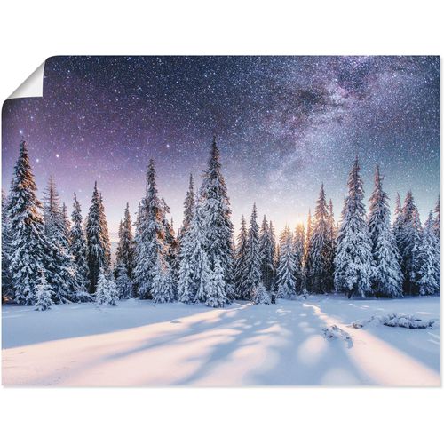 4062144598887 - Wandbild ARTLAND Tannenwald im Schnee vorm Sternenhimmel Bilder Gr B H 80 cm x 60 cm Poster Berge & Alpenbilder Querformat 1 St blau Kunstdrucke als Alubild Leinwandbild Wandaufkleber oder Poster in versch Größen 4062144598887 - Wandbild ARTLAND Tannenwald im Schnee vorm Sternenhimmel Bilder Gr B H 80 cm x 60 cm Poster Berge & Alpenbilder Querformat 1 St blau Kunstdrucke als Alubild Leinwandbild Wandaufkleber oder Poster in versch Größen